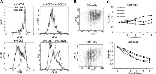 Figure 6. Surface expression of CD28 is progressively down-modulated in a cell division–dependent manner in dividing CD8 but not CD4 T cells. (A) FCM histogram overlay of CD28 staining in total CD28+-purified splenocytes stimulated for 96 hours with immobilized anti-CD3 (solid line) or parallel nonstimulated control cultures (dashed line). Activation leads to the broadening of CD28 staining intensities, suggesting simultaneous maintenance, down-regulation, and moderate up-regulation of CD28 surface levels in different subpopulations of stimulated cells. The result is representative of 4 adult (5-7 years old) animals analyzed in 2 independent experiments. (B) Representative FCM dot plots of CD28 surface levels in different generations of dividing cells after 96 hours of anti-CD3 stimulation of CD28+-purified splenocytes, gated on CD4 and CD8 cells as indicated. There is an evident down-regulation of CD28 surface levels in CD8 cells, directly proportional to the number of divisions, whereas CD4 cells maintain or slightly up-regulate CD28 expression. (C) Relative CD28 staining intensity (relative fluorescence index, RFI) in different generations of dividing CD4 and CD8 cells, compared with the undivided population (RFI = 1). The data were obtained from 4 young adult animals (5-7 years old) and are representative of 2 independent experiments.