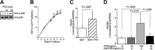 Figure 1. Effects of TPO on primitive hematopoietic cell lines. (A) EML cells cultured with 100 ng/mL mSCF were treated with 100 ng/mL mTPO for the indicated time periods. Cell lysates were prepared, size fractionated, and probed for activation of p38 MAPK by Western blotting. (B) EML cells at a concentration of 1 × 104 cells/mL were cultured with SCF alone (•) or with SCF plus 100 ng/mL hTPO (□). Viable cell numbers were monitored for the duration of the culture by trypan blue dye exclusion. Each point represents the average ± SD of triplicate samples; *P < .05. (C) After a 24-hour culture of EML cells with or without TPO, total RNA was prepared and subjected to real time RT-PCR for Hoxb4 quantification. The data represent the average ± SD of several independent experiments (n = 6, control; n = 4, TPO treatment, respectively). (D) UT-7/TPO cells were cultured with the indicated combination of cytokines for 24 hours, total RNA was prepared, and real-time RT-PCR was performed to quantify HOXB4 level. The bars represent the average ± SD of several independent experiments (n = 4, GM-CSF 10 ng/mL; n = 5, TPO 10 ng/mL; n = 7, TPO 100 ng/mL; n = 4, TPO 10 ng/mL plus GM-CSF 10 ng/mL).