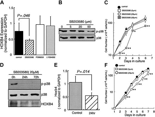 Figure 4. p38 MAPK inhibitor reduces HOXB4 level. (A) UT-7/TPO cells were cultured in 10 ng/mL TPO and treated with 50 μM SB203580, 20 μM PD98059, or 20 μM LY294002 for 72 hours and total RNA was extracted. HOXB4 expression levels were analyzed by real-time RT-PCR; each column represents an average ± SD of several independent experiments (n = 5, control; n = 5, SB203580; n = 3, PD98059; n = 3, LY294002). (B) UT-7/TPO cells were cultured with the indicated concentrations of SB203580 for 72 hours. After each culture period, whole cell lysates were prepared and the activation of p38 MAPK was analyzed by Western blotting. (C) UT-7/TPO cells were cultured with the indicated concentrations of SB203580 and cell number was counted; *P < .05, **P < .01. (D) EML cells were cultured with SCF plus TPO and treated with SB203580 for 72 hours; total cell lysates were prepared and subjected to Western blotting with antiphospho-p38 MAPK, anti-p38 MAPK, and anti-HoxB4 antibodies. (E) EML cells were cultured with SCF plus TPO and treated with 20 μ M SB203580 for 24 hours. Then Hoxb4 levels were analyzed by real-time RT-PCR. Each column represents an average ± SD of several independent experiments (n = 5, control; n = 3, SB203580). (F) EML cells were cultured with SCF plus TPO and various concentrations of SB203580 and cell numbers were counted; *P < .05, **P < .01.