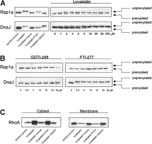 Figure 1. Effect of lovastatin, FTI-277, and GGTI-298 on farnesylation and geranylgeranylation. (A) RPMI 8226 cells were treated for 2 days with solvent control or lovastatin (30 μM) alone or in the presence of mevalonate (meva; 100 μM), GGOH (10 μM), or FOH (10 μM). For the dose response, RPMI 8226 cells were treated with solvent control or lovastatin (1, 2, 3, 4, 5, 10, 30, 50, or 100 μM). After protein isolation, prenylation status of DnaJ and Rap1a was determined by Western blot analysis. The faster-migrating band represents prenylated protein, and the slower band represents unprenylated protein. Data are representative of at least 3 independent experiments. (B) RPMI 8226 cells were treated for 2 days with solvent control, FTI-277 (2.5, 5, 10, 15, 20, or 30 μM), or GGTI-298 (2.5, 5, 10, 15, 20, or 30 μM). After protein isolation, prenylation status of DnaJ and Rap1a was determined by Western blot analysis. Data are representative of at least 3 independent experiments. (C) RPMI 8226 cells were exposed to solvent control or lovastatin (30 μM) alone or in the presence of mevalonate (100 μM), GGOH (10 μM), or FOH (10 μM). After a 2-day incubation, protein was separated in membrane and cytosolic fractions. RhoA was identified by Western blot analysis. Data are representative of 3 independent experiments.