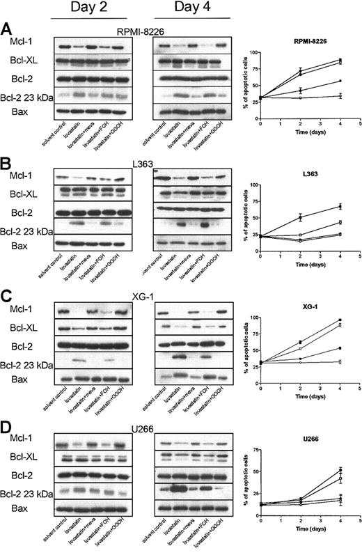 Figure 5. Lovastatin reduces Mcl-1 protein levels by depletion of intracellular pools of GGPP. Plasma cell lines (A) RPMI 8226, (B) L363, (C) XG-1, and (D) U266 were treated for 2 or 4 days with solvent control, or lovastatin (5 μM for XG-1 and 30 μM for RPMI 8226, U266, and L363) alone (▪) or in combination with mevalonate (100 μM; ○), FOH (10 μM; □), or GGOH (10 μM; •). After protein isolation, Mcl-1, Bcl-XL, Bcl-2, and Bax were determined by Western blot analysis. Furthermore, the proapoptotic 23-kDa Bcl-2 form was detected after long exposure of the film. Data are representative of at least 3 independent experiments. The percentage of apoptotic cells was determined using the annexin V assay. Shown is the sum of the percentages of early and late apoptotic cells. Experiments were performed 3 times in triplicate. Data are presented as mean ± SEM.
