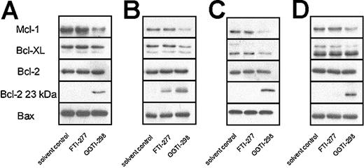 Figure 6. GGTI-298 reduces Mcl-1 protein levels. Plasma cell lines RPMI 8226 (A), L363 (B), XG-1 (C), and U266 (D) were treated for 2 days with solvent control, FTI-277 (20 μM), or GGTI-298 (20 μM). After protein isolation, Mcl-1, Bcl-XL, Bcl-2, and Bax expression levels were determined by Western blot analysis. Furthermore, the proapoptotic 23-kDa Bcl-2 form was detected after long exposure of the film. Data are representative of at least 3 independent experiments.