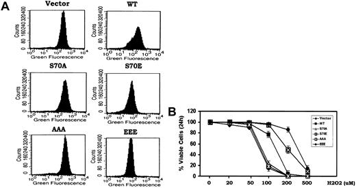 Figure 2. Bcl2 gain of function glutamate but not phosphorylation-deficient alanine mutants potently reduce intracellular ROS and inhibit oxidative stress-induced apoptosis. (A) Cells expressing WT and A- or E-Bcl2 mutants were incubated with the oxidation-sensitive dichlorodihydrofluorescein diacetate (H2DCFDA) at 37°C for 30 minutes, and intracellular ROS levels were analyzed by flow cytometry as described.8,15 (B) Cells expressing WT and A- or E-Bcl2 mutants were treated with various concentrations of H2O2 for 24 hours as indicated. Cell viability was determined by analyzing annexin-V binding on FACS. Data represent the mean ± SD of 3 determinations.