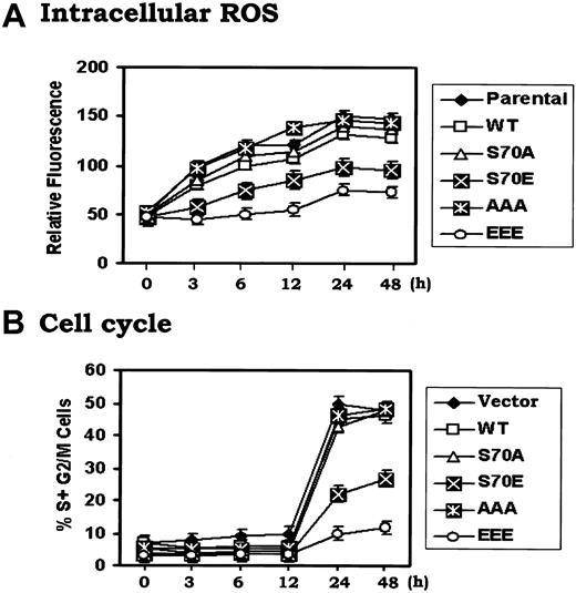 Figure 3. IL-3 enhances intracellular ROS levels and promotes G1/S cell cycle progression that can be retarded by phosphomimetic Bcl2. (A) and (B) H7 cells expressing WT, S70A, S70E, AAA or EEE mutant Bcl2 were washed 3 times with RPMI1640 and incubated in IL-3–free medium with 10% fetal bovine serum (FBS) for 24 hours. Recombinant IL-3 was added to each cell culture for various times as indicated. The cells were harvested at each time point. Intracellular ROS (A) or cell cycle status (B) was assessed as described in “Materials and methods.” The data represent the mean ± SD of 3 determinations.