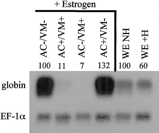 Figure 10. BMP signaling in ventral mesoderm is required for erythroid development. Animal cap and ventral mesoderm explants were isolated at stage 10 from uninjected embryos, or embryos injected at the 2-cell stage with 2 ng/embryo of ER-xSmad6 mRNA, and cocultured in the combinations as indicated (WE = whole embryo, NH = no hormone, and + or – indicates presence or absence, respectively, of ER-xSmad6). E2 was added to all explant cocultures at the equivalent of stage 13. Total RNA was harvested from explants and control whole embryos at stage 35 and samples were analyzed by Northern blotting (2 μg per lane). The filter was first probed with αT1-globin, then stripped and reprobed with EF-1α as a loading control. Numbers above lanes indicate percent of signal relative to uninjected control.