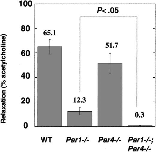 Figure 6. Endothelial-dependent vasorelaxation in freshly isolated aortic rings. Rings from the thoracic aorta of wild-type (n = 5), Par1–/– (n = 5), Par4–/– (n = 4), Par1–/–;Par4–/– (n = 4) mice were tested for vasorelaxation in response to 100 nM thrombin (“Materials and methods”). Data are means ± SE expressed as percentage of relaxation to 100 μM acetylcholine.