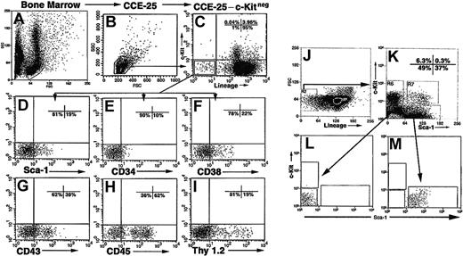 Figure 1. Isolation and purification of the CCE-25–c-Kitneg cells. Representative forward and side scatter of mouse bone marrow (A). Forward scatter (FSC) and side scatter (SSC) profile of CCE-25–c-Kitneg cells isolated by elutriation according to the procedures outlined in “Materials and methods” (B). FACS analysis of CCE-25 cells incubated with lineage- and c-Kit–specific antibodies (Lin: B220, CD3ϵ, TER-119, Gr-1) (C). The CCE-25–Linnegc-Kitneg cells were gated and examined for the expression of Sca-1 (D), CD34 (E), CD38 (F), CD43 (G), CD45 (H), and Thy 1.2 (I). CCE-25–c-Kitneg cells (J) were sorted for Sca-1pos and Sca-1neg (K) populations and their purity was verified by postsort reanalysis (L-M). Isotype-matched control background staining was subtracted from the percentages shown. These results are representative of 2 experiments.