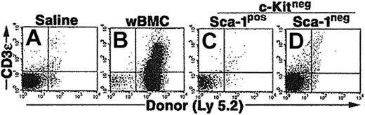 Figure 3. Purified CCE-25–c-Kitneg cell growth in RAG-2–/– mice. CCE-25–c-KitnegSca-1pos and Sca-1neg cells were purified by elutriation and cell sorting as described in “Materials and methods.” These cells were transplanted into sublethally irradiated RAG-2–/– mice (4.0 Gy). At 14 weeks after transplantation, the thymuses were harvested and assayed for the presence of donor (Ly 5.2) thymocytes (CD3ϵ). Animals received transplants of saline (A), 1 × 106 whole bone marrow (wBMC, positive control) (B), 1 × 103 CCE-25–c-KitnegSca-1pos (C), or 1 × 103 CCE-25–c-KitnegSca-1neg cells (D). These results are representative of 5 animals per group and 2 separate experiments.