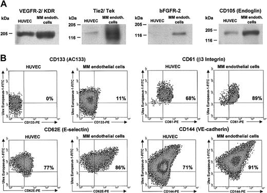 Figure 2. Western blot and FACS analyses of several vascular cell markers in a representative patient and a HUVEC sample. (A) Western blot analysis. (B) FACS analysis. At least 10 000 cells were read for each FACS labeling. In 23 patients VEGFR-2 gave a dimeric band (not shown).