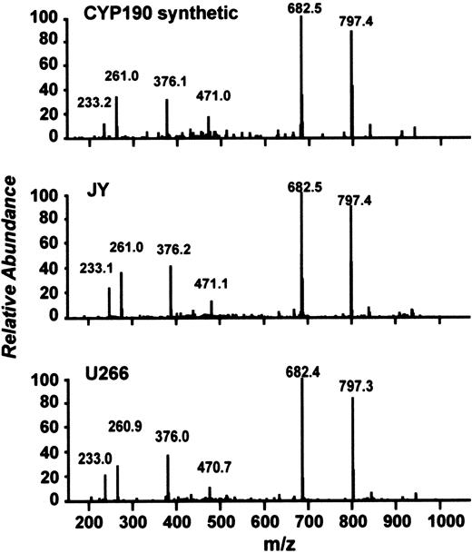Figure 2. LC/MS/MS spectra. Comparison of LC/MS/MS spectra for the HLA-A*0201–associated, naturally processed and presented CYP190 peptide isolated from the EBV-transformed B-cell line JY (middle panel) and the myeloma cell line U266 (lower panel) compared with the synthetic homologue (upper panel). The primary sequence of CYP190 is depicted in the upper left corner. Retention times were identical (data not shown), and the fragmentation patterns confirm the CYP190 sequence identity. Similar spectra were obtained from gastric carcinoma, several colorectal adenocarcinomas, and EBV-transformed B-cell lines derived from multiple subjects (data not shown).