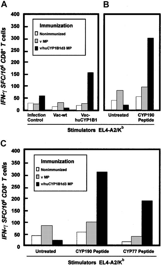 Figure 3. Ex vivo IFN-γ ELISPOT analysis of T-cell reactivity in HLA-A2/Kb mice vaccinated with a huCYP1B1-encoding DNA construct. (A) HLA-A2/Kb mice were primed and boosted twice with PLG-microparticle–encapsulated v/huCYP1B1d3 or control vector or were not vaccinated. Twelve days after the second boost, CD8+-enriched spleen cells were tested for reactivity against EL4-A2/Kb cells infected with vaccinia encoding huCYP1B1 (vac-huCYP1B1), vaccinia wild-type (vac-wt), or noninfected control. Results are shown as IFN-γ spot-forming cells (SFCs)/106 CD8+ T cells. (B) The same spleen cells from vaccinated and control mice were used to measure IFN-γ release in response to EL4-A2/Kb cells untreated or pulsed with the CYP190 peptide. (C) IFN-γ ELISPOT analysis of spleen cells from mice primed and boosted twice with v/huCYP1B1d3 in PLG microparticles. EL4-A2/Kb cells pulsed with the HLA-A*0201–binding human epitope CYP190 or the Kb-binding shared mouse/human epitope CYP77 were used as stimulators. In all assays, PHA was used as a positive control (data not shown), and IFN-γ background secretion was determined without stimulation.