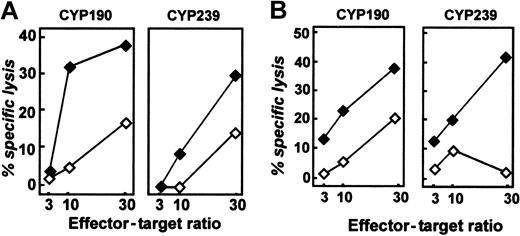 Figure 5. CYP1B1-derived peptides are endogenously processed and presented by tumor cells. (A) Specific lysis of COS/A*0201 cells transfected with a construct encoding EGFP + CYP1B1 amino acids (aa) 170-213 by CYP190-specific CTLs (left panel, ♦) or aa 205-352 by CYP239-specific CTLs (right panel, ♦) but not control EGFP-transfected COS cells (⋄). (B) Lysis of primary follicular lymphoma cells by CYP190-specific and CYP239-specific CTLs (♦, HLA-A*0201–positive; ⋄, HLA-A*0201–negative FL cells). All graphs are representative of at least 2 independent experiments. Expression of CYP1B1 by tumor cells was confirmed by Western blotting.
