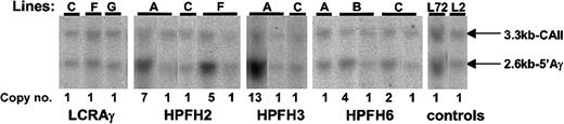Figure 3. Cre-mediated generation of single copy mice from multicopy lines. Genomic DNA was digested with EcoRI and probed with a human 5′Aγ probe and an endogenous mouse CAII probe, as loading control. The sizes of fragments detected are indicated by arrows. The blot includes DNA from all lines used in the single copy expression analysis shown in Figure 4. Original multicopy lines are shown next to the single copy lines obtained after Cre-mediated recombination, except line HPFH-3C where no multicopy DNA sample was available. Single copy β-globin locus lines L72 and L220 were included as copy number controls. LCRAγ single copy lines were generated directly by breeding founder mice with Cre-expressing mice.