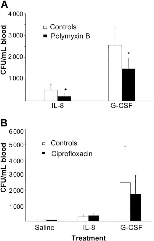 Figure 2. Treatment with oral polymyxin B reduces cytokine-induced stem cell mobilization, while treatment with ciprofloxacin has no effect on IL-8– or G-CSF–induced mobilization. (A) Mice were treated with 100 mg/L polymyxin B and 20 mg/L saccharose added to their drinking water for 1 week. Mice were then mobilized with either a single intraperitoneal injection of 30 μg IL-8 (n = 13) or 5 μg G-CSF (n = 15) per day for 5 days. At 20 minutes after the IL-8 injection and 24 hours after the injection with G-CSF, mice were killed and blood was harvested. Results are expressed as means ± SD. *P < .05 compared with the controls (n = 6-8). (B) Mice were treated with 125 mg/L ciprofloxacin and 20 mg/L saccharose added to their drinking water for 1 week. The control mice received normal drinking water. Antibiotic treatment was continued when mice were mobilized with either a single injection of 30 μg IL-8 (controls: n = 6, treatment group: n = 9) or 5 μg G-CSF (controls: n = 4, treatment group: n = 10) per day for 5 days. At 20 minutes after the IL-8 injection and 24 hours after the injection with G-CSF, the mice were killed and blood was harvested. Results are expressed as means ± SD.