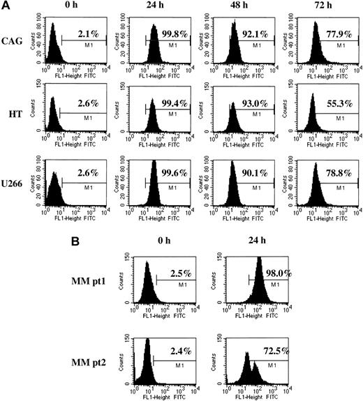 Figure 1. Cellular uptake of fluorescein-labeled GRN163 oligonucleotide into lymphoma and myeloma cell lines. Fluorescein-tagged GRN163 oligonucleotide (10 μM) was added to cultured cells in the absence of additional cationic lipids or permeabilizing agents. Cells were removed at various time intervals, washed with PBS to remove unbound oligonucleotide, and analyzed by flow cytometry. Shown are representative cellular uptake levels in 3 cell lines (CAG, HT, U266; panel A) and CD138+ MM cells from 2 patients (B).