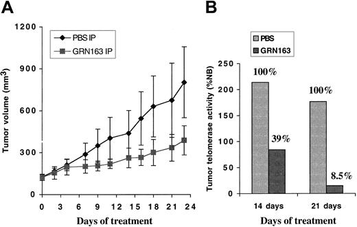 Figure 8. Systemic GRN163 treatment decreased tumor telomerase levels and inhibited the growth of myeloma xenografts in mouse models. NOD/SCID mice were inoculated with 10 × 106 CAG myeloma cells by way of a subcutaneous route. When tumor volumes approached 100 mm3, mice were divided into 2 groups of 5 to 8 mice per group. (A) Mean tumor volumes ± SE (bars) in animals treated with daily intraperitoneal PBS (♦) or GRN163 (▪) (50 mg/kg per day) for 3 weeks (PBS vs GRN163 on day 23; P ≤ .19) are shown. (B) Representative telomerase activity in tumor xenografts harvested from animals after 14 and 21 treatment days, respectively, is also displayed.