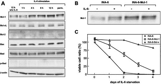 Figure 2. Mcl-1 induction does not sufficiently explain the IL-6–dependent survival of INA-6. (A) Cells were deprived of IL-6 for 12 hours and were restimulated for the times indicated. INA-6 cells permanently cultured in the presence of IL-6 were taken as a reference. Cell lysates were prepared, and equal amounts of protein were subjected to immunoblot analysis. (B) Mcl-1 and EGFP were coexpressed in INA-6 cells by lentiviral infection (INA-6–Mcl-1).As a control, infection was performed with a corresponding vector carrying EGFP cDNA only (INA-6). Infection efficiency was about 75% as measured by green fluorescence. The infected cells were cultured in the presence of IL-6 (+) or were withdrawn from IL-6 for 12 hours (–). Mcl-1 expression was analyzed by immunoblotting. (C) Control, Mcl-1–, and Bcl-xL–expressing INA-6 cells were grown with or without IL-6 for the times indicated and were subjected to an annexin V apoptosis assay. Viable cells are referred to as annexin V–negative cells. INA-6 cells grown in the presence of IL-6 were set 100%. Data for control and INA-6–Mcl-1 cells represent mean values ± SD of 3 independent experiments.