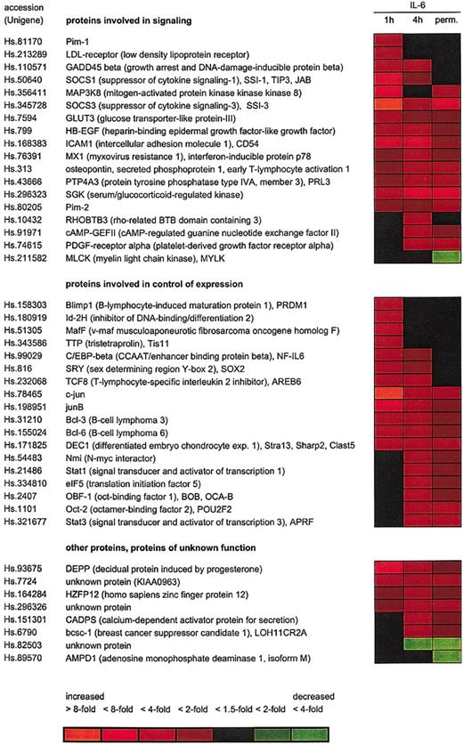 Figure 4. Microarray analysis of IL-6–regulated genes in INA-6 cells. INA-6 cells were cultured either in the presence of 1 ng/mL IL-6 (perm.) or deprived of IL-6 for 12 hours before restimulation with IL-6 for 1 hour or 4 hours, and expression patterns were studied using the Affymetrix U95A array. Two independent series of the experiment were carried out. Microarrays representing cells withdrawn from IL-6 for 12 hours were taken as baseline. Expression changes are indicated by the colors (red for induced and green for reduced expression) as shown.
