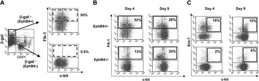 Figure 3. Flow cytometric analysis of Flk-1+ cells and Sca-1+/c-kit+ cells in EBs. (A) The β-gal+ cells express Flk-1 in early EB differentiation. ES cells of EphB4+/– were induced into EB differentiation for 4 days and analyzed by flow cytometry. The β-gal–positive and –negative cells were gated respectively and analyzed for expression of Flk-1 and c-kit. (B-C) Both Flk-1+ and Sca-l+/c-kit+ cells decreased in EphB4–/– EBs. Day-4 and day-9 EB cells from either EphB4+/– or EphB4–/– ES cells were analyzed for Flk-1 (B) and Sca-1/c-kit (C) expression by flow cytometry. Dead cells were gated out by a DNA dye, DAPI, staining. Flow cytometric data are representative from 3 independent experiments.