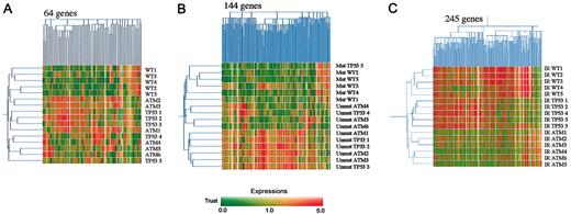 Figure 1. Expression profiles in ATM-mutant, TP53-mutant, and ATM/TP53 wild-type B-CLLs. (A) Hierarchical clustering of ATM-mutant, TP53-mutant, and ATM/TP53 wild-type (wt) B-CLLs based on the expression of 64 genes in unirradiated tumors. (B) Hierarchical clustering of VH-unmutated and VH-mutated B-CLLs based on the expression of 144 genes in unirradiated tumors. (C) Hierarchical clustering of ATM-mutant, TP53-mutant, and ATM/TP53 wt B-CLLs based on the change in gene expression of 245 genes after IR. The horizontal axis of the color bar (below) represents normalized levels of gene expression on a continuous scale. Red indicates overexpression and green indicates underexpression relative to the mean. The vertical axis of the color bar indicates reliability of the data. Dark or unsaturated colors represent low trust, and bright, saturated colors represent high trust. Signal values per gene were normalized to the median value across all experiments.