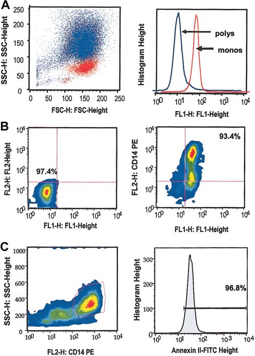 Figure 1. Flow cytometric analysis. (A) Superimposed scatter plots (left panel) demonstrate discrete populations of isolated monocytes (red) and PMN neutrophils (blue) by analysis of side scatter (SSC) versus forward scatter (FSC). Histogram depicts cell surface annexin II expression by monocytes (red) and neutrophils (blue) as FL1 fluorescence (right panel). (B) Scatter plot of FL1 (FITC) versus FL2 (PE) fluorescence on human monocytes. Both isotype controls (left panel) and annexin II-FITC and CD14-PE signals (right panel) are shown. (C) Plot of CD14 positivity versus SSC (left panel). Histogram shows annexin II expression (FL1) among CD14+ cells (right panel).
