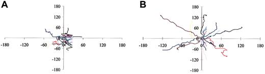 Figure 2. Tracks of HUVECs stimulated with CCL16. Panels A and B respectively represent paths of cells tracked by video-lapse microscopy in presence of Vec-Cos or CCL16-Cos (50 ng/mL) over a period of 5 hours. Cell paths are replotted such that all paths start from the origin.