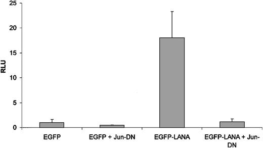 Figure 1. LANA-mediated activation of the AP1 RE is Jun dependent. The EGFP-LANA or EGFP control vector and the pAP1-luc reporter were cotransfected with the Jun-DN expression construct or the empty vector control. Concentration of all vectors was 0.1 μg. Firefly luciferase was assayed at 48 hours. The results, which were normalized to that of the negative control group (EGFP control + control vector for Jun-DN), are the means of 3 experiments and are reported ± SD. RLU indicates relative luminescence units.