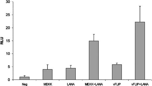 Figure 2. LANA enhances the transcriptional activity of a GAL4-c-Jun transactivation domain fusion. The EGFP-LANA expression plasmid (50 ng) or the vector control (50 ng) was cotransfected with either MEKK or vFLIP expression plasmids (0.1 μg) or relevant control vectors. The GAL4-c-Jun transactivation domain fusion construct and pGAL4-luc reporter plasmid (0.1 μg each) were included in all transfections. The results, which were normalized to that of the negative control group (EGFP control + control vector for MEKK/vFLIP), are the means of 3 experiments and are reported ± SD.