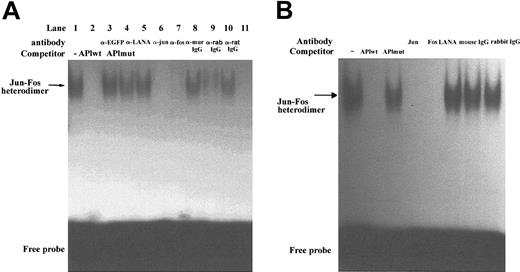 Figure 5. LANA induces DNA binding of a Jun-Fos heterodimer to the AP1 RE but does not directly bind to the AP1 RE. (A) AP1 EMSA using nuclear extracts from 293-TetOff-EGFP-LANA cells treated without (lanes 1-10) or with (lane 11) dox (1 μg/mL). Cold competition with excess wild-type AP1 probe abrogated the gel-shifted band (lane 2), whereas cold mutant probe had no effect (lane 3). Supershift experiments are shown in lanes 4 to 10. (B) EMSAs on nuclear extracts from BCBL-1 cells. Experiments were similar to those in panel A, including cold competition and supershift experiments.