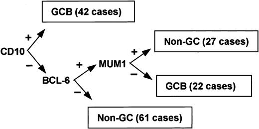 Figure 1. Decision tree for immunoperoxidase TMA classification of DLBCL.
