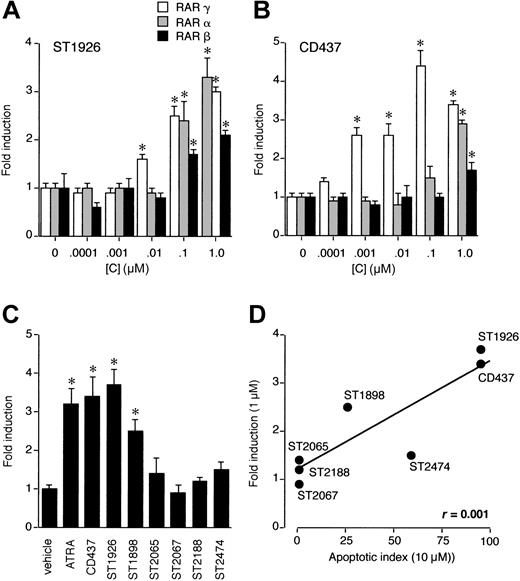 Figure 4. Comparative RARα, RARβ, and RARγ transactivation of ST1926, CD437, and congeners: correlation with the apoptotic potential. COS-7 cells (150 000/well) were cotransfected with the indicated RAR subtype (0.05 μg) (A,B) or RARγ (C), a retinoic acid–dependent reporter construct (DR5-tk-CAT; 1 μg) and the β-galactosidase expression vector pCH110 (0.5 μg). Twenty-four hours after transfection, cells were treated for an additional 24 hours with vehicle or the indicated concentration of ST1926 (A) and CD437 (B) or the indicated compound (1 μM) (C). At the end of the experiment, cells were harvested and homogenized, and CAT as well as β-galactosidase activities determined. The results are expressed in fold induction of CAT activity following normalization for the amount of β-galactosidase expressed. CAT activity measured in cells treated with vehicle is considered as 1.0. Panel D illustrates the linear correlation between the RARγ transactivating activity of each RRM, as determined at a concentration of 1 μM (C), and the apoptotic potential, as determined at a concentration of 10 μM (Table 1). Results are expressed as the mean ± SD of 3 replicate cultures. The data are representative of at least 2 independent experiments. *Significantly higher than the corresponding vehicle-treated group (P < .01 according to the Student t test).