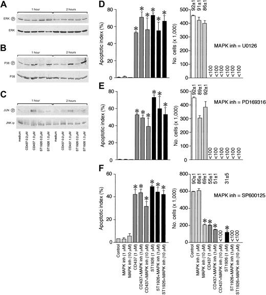 Figure 6. Influence of ST1926 and CD437 on the phosphorylation of MAP kinases and effect of MAP kinase inhibitors on RRM-dependent apoptosis. NB4 cells were treated for the indicated amount of time with vehicle and the indicated concentrations of ST1926 and CD437. Total cellular extracts were subjected to Western blot analysis using polyclonal antibodies recognizing ERK (A) and p38 (B). In the case of panel C, we measured the level of JNK kinase activity on JNK immunoprecipitates using c-Jun as a substrate. Equivalent amounts of immunoprecipitates were electrophoresed on SDS-PAGE, blotted on nitrocellulose, and challenged with antibodies recognizing the phosphorylated form of c-JUN (serine/63) or JNK. The blots shown are representative of at least 2 independent experiments. NB4 cells were treated for 6 hours with vehicle (DMSO), ST1926 (1 μM), CD437 (1 μM), the indicated concentrations of the ERK inhibitor, U0126, and the indicated combinations (D), the p38 inhibitor, PD169316, and the indicated combinations (E), or the JNK inhibitor, SP600125, and the indicated combinations (F). Aliquots of the extracts were used for the determination of the apoptotic index (left-most panels) and the number of viable cells (rightmost panels). The numbers above the columns indicate percentages of viable cells. Less than 100 = below the limit of detection of the assay. Results are the mean ± SD of 3 separate culture dishes and are representative of at least 2 independent experiments. *Significantly higher or lower than the corresponding vehicle-treated group (P < .01 according to the Student t test).