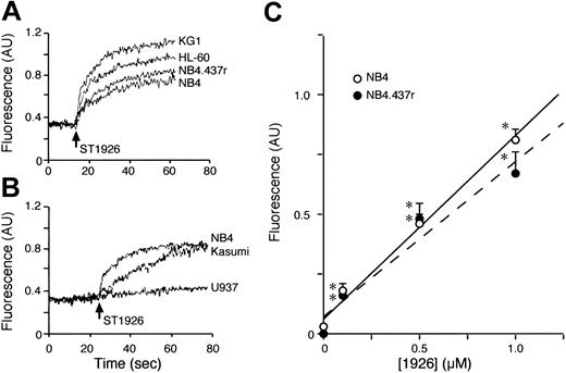 Figure 8. Effect of ST1926 on the levels of intracellular calcium in CD437-resistant NB4.437r blasts and other myeloid cell lines. Following prelodaing with the calcium fluorescent indicator FURA-2, NB4, NB4.437r, HL-60 KG1 (A) as well as Kasumi and U937 (B) cells (1 × 106/mL) were resuspended in PBS with calcium chloride at a concentr ation of 1.26 mM. Cells were placed in a cuvette under stirring at 37°C and changes in fluorescence were measured continuously with the use of a spectrophotofluorometer. The concentration of ST1926 used in the experiments illustrated in (A) and (B) is 1 μM. The dose-response curve for the increase of intracellular calcium in NB4 and NB4.437r cells is shown in panel C. Each tracing is representative of at least 2 independent experiments run in triplicate. *Significantly higher than the vehicle-treated group (P < .01 according to the Student t test).