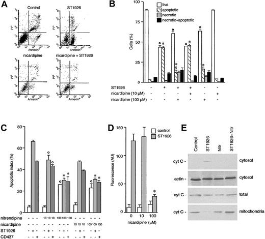 Figure 11. Effect of dyhydropyridines, nicardipine, and nitrendipine on ST1926- and CD437-dependent apoptosis and cytochrome c release from mitochondria in NB4 cells. NB4 cells (150 000/well) were treated with vehicle, the indicated dihydropyridines, ST1926 or CD437, or the indicated mixtures of calcium blockers and RRMs for 6 hours. (A) A typical cytometric profile of cells treated with vehicle (control), ST1926 (1 μM), nicardipine (100 μM), or the combination of the 2 compounds. The profile shows the level of propidium iodide cell positivity (PI+, ordinate axis) and annexin-V positivity (Annexin+, abscissa). The lower left, lower right, upper left, and upper right quadrants indicate the percentage of viable, apoptotic, necrotic, and necrotic+apoptotic cells, respectively. (B) A quantitative summary of an experiment performed as in panel A. The results are expressed as the mean ± SD of 3 replicate cultures. The data presented are representative of 2 independent experiments. *Significantly lower than the corresponding vehicle-treated group (P < .01 according to the Student t test). °Significantly higher than the corresponding vehicle-treated group (P < .01 according to the Student t test). §Significantly lower than the corresponding ST1926-treated group (P < .01 according to the Student t test). (C) Following treatment with ST1926 and CD437 in the presence and absence of the indicated concentrations of dihydropyridines, aliquots of the cultures were subjected to the determination of the apoptotic index by scoring the percentage of cells showing morphologic signs of nuclear fragmentation upon DAPI staining. The results are expressed as the mean ± SD of 3 replicate cultures. The data presented are representative of 2 independent experiments. *Significantly lower than the corresponding ST1926- or CD437-treated group (P < .01 according to the Student t test). °Significantly higher than the corresponding vehicle-treated group (P < .01 according to the Student t test). (D) Cells were treated for 6 hours with 10 μMor100 μM nicardipine in the presence of medium or medium containing 1 μM ST1926. The level of caspase-3 was measured following incubation of cell extracts with the fluorogenic peptide substrate DEVD-amc. The results are expressed as the mean ± SD of 3 replicate cultures. °Significantly lower than the corresponding ST1926- or CD437-treated group (P < .01 according to the Student t test). In panel E, cells were treated with vehicle (control), ST1926 (1 μM), nitrendipine (100 μM), or the combination of the 2 compounds for 4 hours. Cells were harvested, homogenized, and fractionated in a mitochondrial and a cytosolic fraction or left unfractionated (total). Equivalent aliquots of the various fractions were subjected to Western blot analysis with antibodies directed against the indicated proteins.