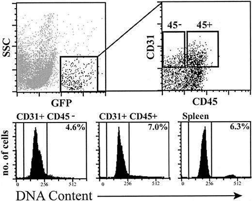 Figure 3. Analysis of the DNA content of donor-derived hematopoietic cells and ECs in recipients of 500 KSL cells. Top left panel shows GFP+ donor-derived cells in a recipient liver by flow cytometry. Top right panel indicates cell sorting gates for GFP+, CD31+, CD45– ECs and GFP+, CD31+, CD45+ hematopoietic cells. Sorted cell populations were fixed with ethanol and analyzed for DNA content with propidium iodide. Lower panels show propidium iodide uptake by sorted GFP+, CD31+, CD45– ECs, GFP+, CD31+, CD45+ hematopoietic cells, and control normal spleen cells. The percentage of cells in S/G2/M of the cell cycle is indicated.