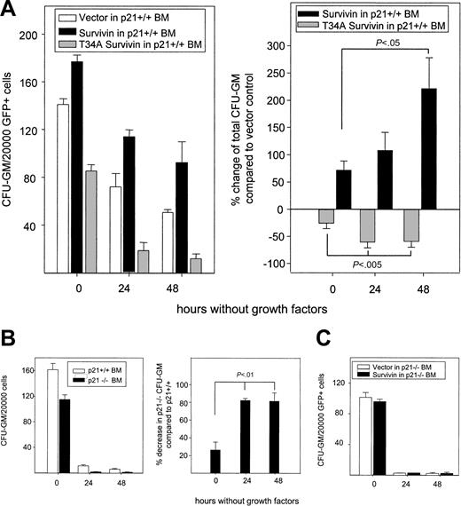 Figure 2. Effects of modulation of Survivin and p21WAF1/Cip1 on CFU-GM survival upon growth factor deprivation. Bone marrow cells harvested from p21+/+ and p21–/– mice were infected with retrovirus, as described in Figure 1. After infection, 20 000 GFP+ cells were FACS sorted and plated in soft agar without growth factors. Mouse GM-CSF (10 ng/mL) and SCF (50 ng/mL) were added to the cultures at 0, 24, or 48 hours after plating and CFU-GMs were enumerated 7 days after growth factor was added. (A) Left panel shows absolute CFU-GM survival during growth factor deprivation in 1 representative experiment. Right panel shows the mean ± SEM percentage change in survival in wild-type– or T34A-Survivin–transduced p21+/+ CFU-GM compared with p21+/+ CFU-GM transduced with empty vector from 3 experiments. (B) Survival of p21+/+ and p21–/– CFU-GM on growth factor starvation. Left panel shows total CFU-GM after delayed addition of growth factors in 1 representative experiment. The percentage decrease of p21–/– versus p21+/+ CFU-GM transduced with vector at each time point are shown in the right panel and represent combined data from 2 experiments. (C) Survival of p21–/– CFU-GM transduced with Survivin or empty vector after growth factor starvation. Data are from 1 of 3 experiments with identical results. Data represent means ± SEM.