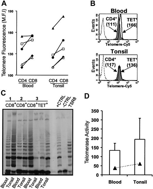 Figure 6. Relative telomere length and telomerase activity in blood and tonsils from AIM patients. (A) Telomere lengths were assessed using flow FISH in CD4+ and CD8+ T cells. Each symbol represents blood and tonsil samples taken from individual patients. (B) Telomere lengths were also investigated in isolated EBV-specific CD8+ T cells relative to the CD4+ population in the same patient. CD4+ (gray histogram) and tetramer-positive CD8+ T cells (open histogram) from blood (top panel) and tonsil (bottom panel) were isolated from AIM patients, and telomere lengths were determined by flow FISH. The no-probe control is also shown as a dashed profile. (C) Telomerase activity in blood and tonsils was measured in purified CD8+ T cells using the TRAP assay in 3 patients. In patient 3, telomerase activity was also measured in purified tetramer-positive CD8+ T cells. Positive and negative controls were run according to manufacturer's instructions. (D) Mean ± SEM telomerase activity for CD8+ and tetramer-positive T cells from the 3 separate samples were analyzed.