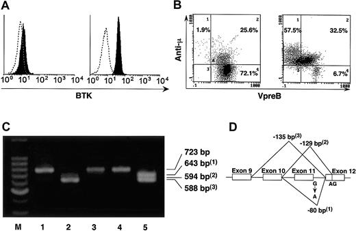 Figure 1. Defect of BTK and block of B-cell differentiation. (A) Intracellular staining of BTK was performed and BTK expression was analyzed in peripheral blood CD14+ cells of the girl with agammaglobulinemia (left) and a healthy control (right). (B) The μ chain and VpreB were stained intracellularly. Analysis gate was set on CD19+ and/or VpreB-positive cells. In contrast to the normal B-cell development in the bone marrow of a healthy control (right), maturational block of B-cell precursors occurred and neither VpreB- μ + (low) nor VpreB- μ + (high) cells were observed in the patient (left). (C) The cDNA amplification was performed by PCR between exon 6 and exon 13 of BTK in the family members. Abnormally smaller-sized PCR products (1-3) were observed in the patient (lane 2) and her father (lane 5), although her paternal grandmother (lane 1), her mother (lane 3), and her brother (lane 4) expressed BTK mRNA with normal size. The primer pair was 5′-ATGCTATGGGCTGCCAAATT-3′ and 5′-GGTCCTTTGGATCAATTTCC-3′, and the expected size of the normal PCR product is 723 bp. M indicates marker. (D) The abnormally smaller-sized PCR products (1-3) in panel C were sequenced and found to be the result of splicing abnormality caused by the mutation of intron 11.