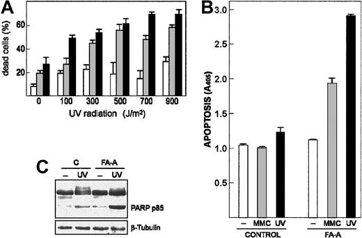 Figure 3. DNA damage–induced apoptotic response is increased in FA-A cells. (A) Control (□) and 2 FA-A lymphoblast cell lines (▦, ▪) were exposed to different doses of UV radiation and left in culture for 12 hours. The percentage of dead cells was then measured by trypan blue dye exclusion. (B-C) Control and FA-A lymphoblasts were exposed to UV radiation (700 J/m2) and left in culture for 5 hours or treated with 50 nM MMC for 48 hours, and then apoptotic cell death was determined by an enzyme immunoassay method that quantifies the histone-associated DNA fragments present in the cytosol (B) or by Western blot with an antibody that recognizes both the full-length (112 kDa) and the cleavage fragment (85 kDa) of PARP protein (C). The levels of β-tubulin were determined to assure equal loading. A405, units of absorbance at 405 nm. Histograms represent the means ± SD of triplicate analyses.