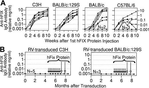 Figure 2. Anti-hFIX IgG antibodies in normal mice after protein injection or neonatal gene transfer. (A) Anti-hFIX antibody levels after protein injections. Mice of the indicated strain that did not receive gene transfer began to receive weekly IP injections of 30 IU/kg hFIX at 2 to 4 months after birth, for a total of 10 doses. The relative levels of anti-hFIX IgG antibody in milligrams per milliliter were determined by immunoassay and are plotted versus the time in weeks after the first dose of protein. Each line represents a single animal. For the BALB/c and C57BL/6 mice, 2 and 3 mice, respectively, failed to make antibodies (plotted as 0.001 mg/mL on this semilog scale) at any time of evaluation, as indicated by the N near the line at the bottom. (B) Anti-hFIX antibody levels in mice after neonatal gene transfer. These are the same C3H and BALB/c:129S mice that received neonatal injection of 1 × 1010 TU/kg of hAAT-hFIX-WPRE as described in Figure 1B. At 4.5 months after transduction, mice began to receive weekly injections of hFIX without adjuvant for a total of 10 doses, as indicated by the short black arrows. At 7 and 7.75 months after transduction, mice received hFIX in adjuvant, as indicated by the long open arrows. Anti-hFIX IgG antibody levels are shown at the indicated time in months after transduction. None of the C3H (N = 5) or BALB/c:129S (N = 3) mice made detectable antibodies at any time of evaluation.