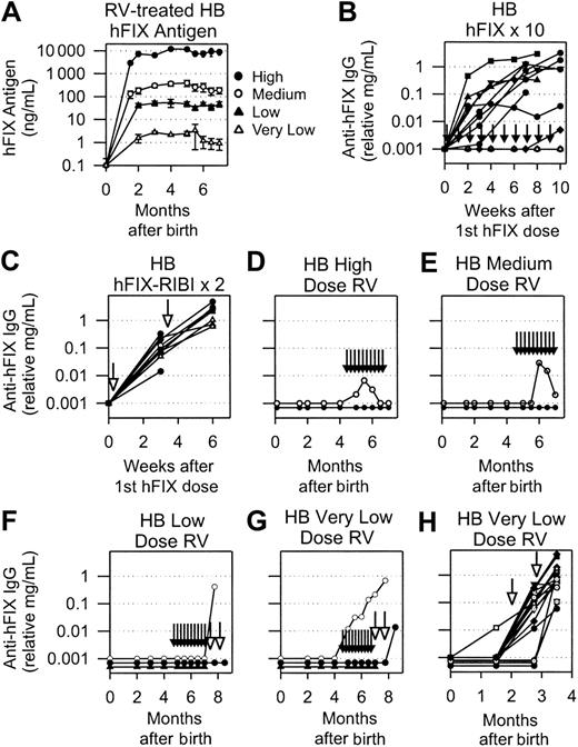 Figure 3. hFIX expression and anti-hFIX IgG antibody levels in HB mice. (A) hFIX levels in mice transduced as neonates. Neonatal 129S×C57BL/6 HB mice were injected IV with a high (1 × 1010 TU/kg), medium (1 × 109 TU/kg), low (1 × 108 TU/kg), or very low (1 × 107 TU/kg) dose of hAAT-hFIX-WPRE at 2 or 3 days after birth. Average plasma hFIX antigen levels ± SEM are shown. (B) Anti-hFIX IgG antibody levels after hFIX protein injection. Adult HB mice that never received gene transfer began to receive weekly IP injections of 30 IU/kg hFIX without adjuvant at 2 to 4 months after birth and continued for 10 injections total, as indicated by the short vertical arrows in this and subsequent panels. Plasma anti-hFIX antibody levels were determined at the indicated time in weeks after the first dose of hFIX. Each line indicates an individual mouse. Values are plotted as 0.001 mg/mL for the 5 mice that failed to make antibodies at any time of evaluation. (C) Anti-hFIX IgG antibody levels after hFIX protein injection with adjuvant. Adult HB mice that never received gene transfer received 2 injections of 30 IU/kg hFIX in adjuvant separated by 3 weeks. Long open arrows indicate the time of injection of protein with adjuvant in this and subsequent panels. Plasma anti-hFIX IgG antibody levels are plotted versus the time after the first dose of hFIX. Each line indicates an individual mouse. (D-H) Anti-hFIX IgG antibody levels in HB mice that were transduced as neonates. Plasma from mice that were treated at birth with a high (D), medium (E), low (F), or very low (G-H) dose of hAAT-hFIX-WPRE and began to receive hFIX protein injections at 4.5 months after birth was tested for anti-hFIX–specific IgG antibodies at the indicated time after birth. These are the same animals whose hFIX levels are shown in panel A. For panels D and E, the line with open circles represents an individual mouse with low and transient levels of an antibody, whereas the line with closed circles represents 5 mice that did not have detectable antibodies at any time of evaluation. For panel F, the line with open circles represents an animal that developed an antibody after administration of 1 dose of hFIX in adjuvant. The line with closed triangles represents 3 mice that did not develop antibodies after 10 injections of hFIX without adjuvant. The line with closed circles represents 3 mice that did not develop antibodies after 10 injections of hFIX without adjuvant and 1 or 2 injections of hFIX with adjuvant. (G) Anti-hFIX IgG antibody levels in HB mice that were transduced with the very low dose of RV as neonates and were challenged with hFIX as indicated. Each line represents an individual animal. Neonatal mice were injected at birth with the very low dose of RV and were challenged at 2 and 2.75 months with hFIX in adjuvant. Each line indicates an individual animal.