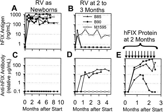 Figure 5. Expression of hFIX and anti-hFIX IgG levels in normal dogs after gene transfer or protein injection. (A) hFIX antigen levels after neonatal gene transfer. Newborn normal dogs (N = 5) were injected intravenously with 3.2 × 109 TU/kg hAAT-hFIX-WPRE at 2 days after birth, and plasma was tested for hFIX antigen levels at the indicated time in months after transduction. (B) hFIX antigen levels after gene transfer to young dogs. Two 8-week-old dogs (B85 and B90) were injected intravenously with 5 × 108 TU/kg hAAT-hFIX-WPRE, whereas one 11-week-old dog (M1595) was injected intravenously with 2 × 108 TU/kg. The plasma was tested for hFIX antigen levels at the indicated time in months after transduction. Antigen levels that were undetectable were plotted as 0.5 ng/mL on this semilog scale. (C-E) Anti-hFIX IgG antibody levels in dogs. Anti-hFIX IgG antibody levels were determined by immunoassay. If antibody was undetectable, it was plotted as 0.1 μg/mL on this semilog scale. (C) Plasma was from the dogs that were transduced as newborns and whose antigen levels are shown in panel A. Time of evaluation varied from 6 to 9 months after birth. (D) Plasma was from the dogs that were transduced as juveniles and whose antigen levels are shown in panel B, and the values are plotted at the indicated times after transduction. (E) Plasma was from dogs that began to receive weekly IV injections of 30 IU/kg hFIX at 8 weeks after birth, which was continued for 10 weeks, as indicated by the black arrows. Antibody levels are plotted versus the time after the first dose of hFIX protein.