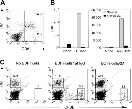 Figure 6. CD137 agonistic mAb reverses established anergy of alloreactive 2C T cells in bone marrow chimera. BDF1 mice were exposed to a lethal dose of irradiation (11 Gy) followed by an intravenous transfer of 5 × 106 bone marrow cells and 1 × 107 spleen cells from 2C TCR transgenic mice. (A) Ten days after BMT, spleen cells were prepared from the recipient mice and subjected to analysis by a flow cytometry. The percentage of 1B2-positive CD8+ 2C T cells and 1B2-negative CD8+ T cells is shown in the corresponding quadrants. (B) Ten days after BMT, 2C T cells were purified from the recipient spleen cells by an isolation of CD8+ T cells. The cells (1 × 105 cells per well) were subsequently cultured with irradiated (30 Gy) DBA/2 spleen cells (5 × 105 cells per well) or alone (left panel), and in the presence or absence of immobilized 1 μg/mL anti-CD3 mAb (right panel). CD8+ T cells isolated from naive 2C mice were cultured similarly as control. Proliferative activity was determined by 3H-thymidine incorporation on day 3. The data are shown as an average ± SD of triplicate wells. (C) Ten days after BMT, the recipient mice were further transferred intravenously with CFSE-labeled BDF1 spleen cells (2.5 × 107 cells) or were untreated. In the groups with cell transfer, 100 μg of either control rat IgG or CD137 mAb (2A) was injected intraperitoneally on the same day. After 5 days, spleen cells from the recipient mice were analyzed by a flow cytometry. The percentage of 1B2-positive 2C T cells and the transferred BDF1 cells (CFSEhigh cells) are indicated.