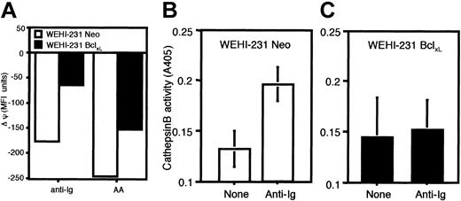 Figure 4. Bcl-xL stabilizes the Δψm and abrogates the BCR coupling to the postmitochondrial activation of cathepsin B in WEHI-231 immature B cells. (A) WEHI-231-Neo (□) and WEHI-231-Bcl-xL (▪) immature B cells were treated with anti-Ig (10 μg/mL) or arachidonic acid (100 μM) for 24 hours, and mitochondrial potential was assessed using the dye DiOC6. The data are represented as the change in mean fluorescence intensity (MFI) of DiOC6 staining following stimulation to demonstrate the extent of depolarization. WEHI-231-Neo (B) or -Bcl-xL (C) immature B cells were stimulated for 24 hours with anti-Ig (10 μg/mL), and cell lysates were prepared. Cathepsin B activity as evidenced by cleavage of the cathepsin B substrate, zRR-pNA (z-Arg-Arg-pNA; Calbiochem), was then assayed as described in “Materials and methods.” Data are representative of at least 3 independent experiments. Error bars indicate means ± SDs; n = 3.