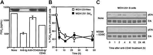 Figure 7. CD40-mediated rescue of BCR-driven desensitization of ErkMAPkinase correlates with generation of arachidonate-derived metabolites such as PGE2. (A) WEHI-231 B cells were stimulated in the presence and absence of anti-IgM (1 μg/mL) and/or anti-CD40 (10 μg/mL) for 24 hours and then cell lysates were prepared and PGE2 levels were estimated by enzyme-linked immunosorbent assay (ELISA) and presented as means ± SD, n = 3 as described in “Materials and methods.” In the insert panel, such lysates were probed for Cox2 expression by Western blot analysis. (B) WEHI-231-Neo (□) and -Bcl-xL (▪) B cells were stimulated in the presence and absence of 1 μg/mL anti-IgM for up to 48 hours before estimating intracellular levels of PGE2. Each anti-Ig–treated time point sample is expressed as a percent of its unstimulated control and data are presented as means ± SD, n = 3. (C) WEHI-231 B cells were stimulated with anti-CD40 (10 μg/mL) for up to 48 hours in the presence and absence of NS-398 plus EDBC (both at 10 μM), and cell lysates were prepared. ErkMAPkinase activity was determined by Western blot analysis of phospho-Erk and total Erk reactivity as described in “Materials and methods.” The data presented are representative of at least 3 independent experiments.