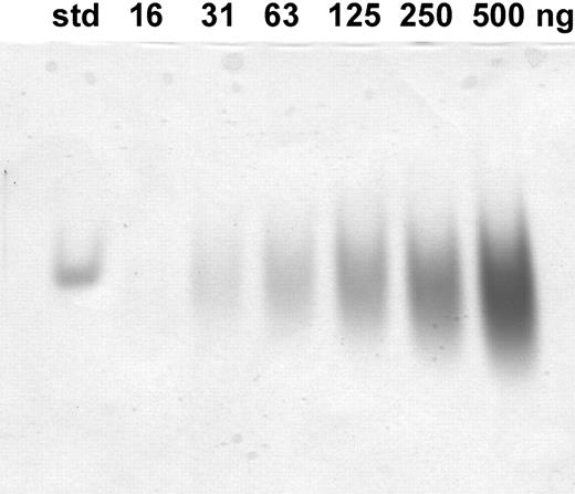 Figure 1. Analysis of synthetic hepcidin by 12.5% acid-urea polyacrylamide gel electrophoresis (PAGE). The gel was loaded with the indicated amounts of peptide and after electrophoresis it was stained with Coomassie blue. The standard is 1 μg hepcidin produced synthetically and validated as identical to urinary hepcidin-25 by mass spectrometry, reverse-phase high-performance liquid chromatography on a C18 column, and acid-urea PAGE (courtesy of E. Nemeth and T. Ganz, University of California, Los Angeles).