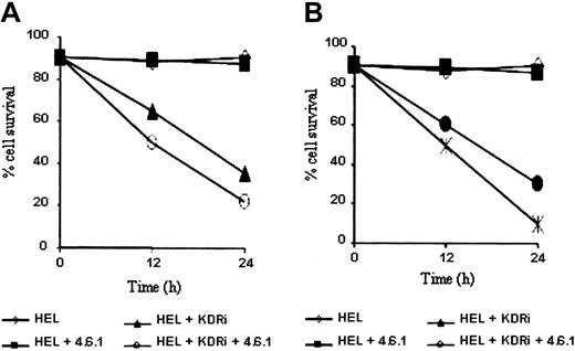 Figure 4. Blockade of internal VEGF-KDR autocrine loop induces leukemia apoptosis: synergistic effects with the external blocker and with chemotherapy. (A) HEL cells were left untreated (in serum-free conditions), treated with the Ab 4.6.1 or/and with the internal KDR inhibitor (KDRi), stained with annexin V and PI, and analyzed by FACS. Results show the percentage of viable cells (nonapoptotic, annexin V–negative) cells in the different conditions. As shown by the data, treatment with the internal KDRi has a clear effect at reducing cell viability, in contrast to those treated with the 4.6.1 Ab. Importantly, the 2 agents had synergistic effects and reduced cell viability significantly (P < .05) more than either agent alone. These results are representative of 3 independent experiments, and were repeated 3 times. (B) Combination of chemotherapy (etoposide) with the 4.6.1 Ab results in synergistic effects, decreasing cell visibility significantly (P < .05). Results are shown as the percentage of viable (annexin V–negative) cells. These results are representative of 3 independent experiments, and were repeated 3 times.