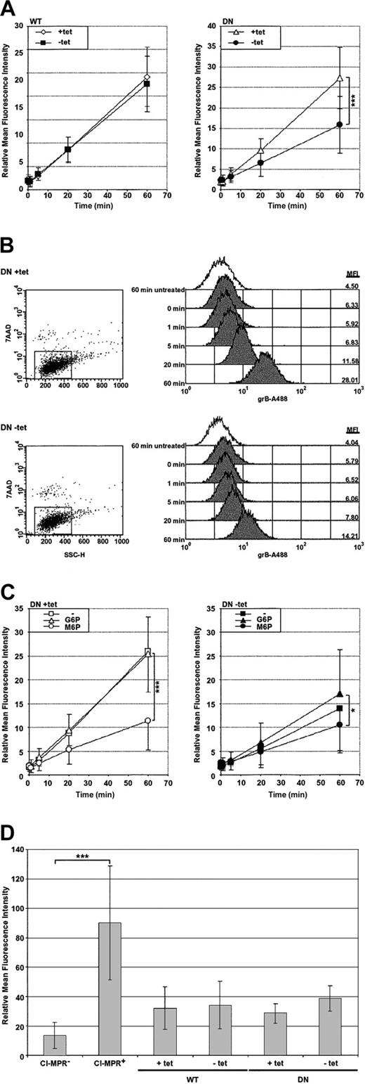 Figure 2. Uptake of the purified grB molecule is dependent on dynamin and the CI-MPR. HeLa-DynWT or DN cells were treated to suppress (+tet) or induce (–tet) overexpression from the transfected dynamin cDNA. The relative mean fluorescence intensity was determined by flow cytometry. (A) Cells were incubated with grB-A488 at 37° C for up to 1 hour, and viable cells were analyzed. (B) Representative flow cytometry data of grB-A488 uptake in HeLa-DynDN cells. The mean fluorescence intensity (MFI) is noted along the right-hand side of the histogram charts for cells—untreated at 60 minutes or exposed to grB-A488 from 0 to 60 minutes. (C) HeLa-DynDN cells were incubated with grB-A488 under normal conditions (–), or in the presence of 10 mM G6P or M6P, and viable cells were analyzed. (D) Cells displaying negligible or high surface levels of the CI-MPR (CI-MPR– or CI-MPR+, respectively) or HeLa-Dyn cells were surface labeled for the CI-MPR. The mean ± SD of 4 (A), 3 (C), or 5 (D) independent experiments is shown (*.01 < P < .05; ***P < .001).
