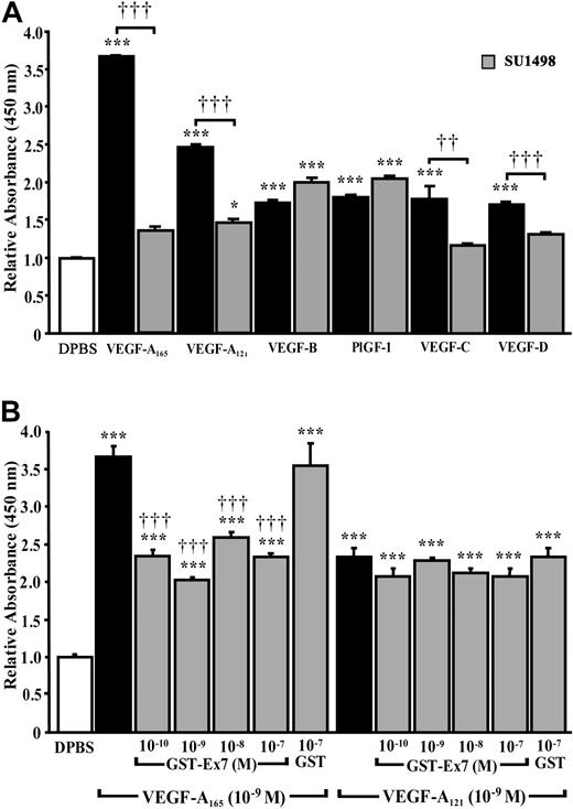Figure 4. Contribution of VEGFRs to P-selectin translocation. Prior to stimulation with the indicated VEGF analogs (10–9 M; 7.5 minutes), HUVECs were pretreated for 15 minutes with (A) a selective VEGFR-2 inhibitor (SU1498; 5 × 10–6 M) or (B) either a GST fusion protein containing either exon 7 of human VEGF-A165 (GST-Ex7) or GST. Data are means ± SEM of at least 6 experiments, *P ≤ .05 and ***P ≤ .001 as compared to DPBS, ††P ≤ .01 and †††P ≤ .001 as compared to corresponding VEGF analogs.