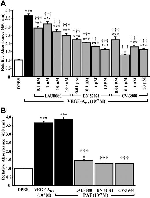 Figure 5. Role of PAF and its receptors on VEGFA165–induced P-selectin translocation. HUVECs were pretreated with selective PAFR antagonists, at the indicated concentrations, for 15 minutes prior to stimulation with VEGF-A165 (10–9 M, 7.5 minutes; A) or PAF (10–9 M, 7.5 minutes; B). Pretreatment with intracellular (LAU 8080), extracellular (BN 52021) and nonspecific PAFR (CV-3988) antagonists reduced significantly the translocation of P-selectin induced by VEGF-A165 and PAF. Data are means ± SEM of at least 6 experiments, *P ≤ .05 and ***P ≤ .001 as compared to DPBS, †††P ≤ .001 compared to VEGF-A165 (A) or PAF (B).